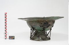 Foto von Bronzebreitrandfußschale (NHMW-PRAE-025437)